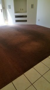 Tucson Carpet cleaning